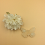 magnet papillon 007