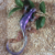 salamandre violette 005