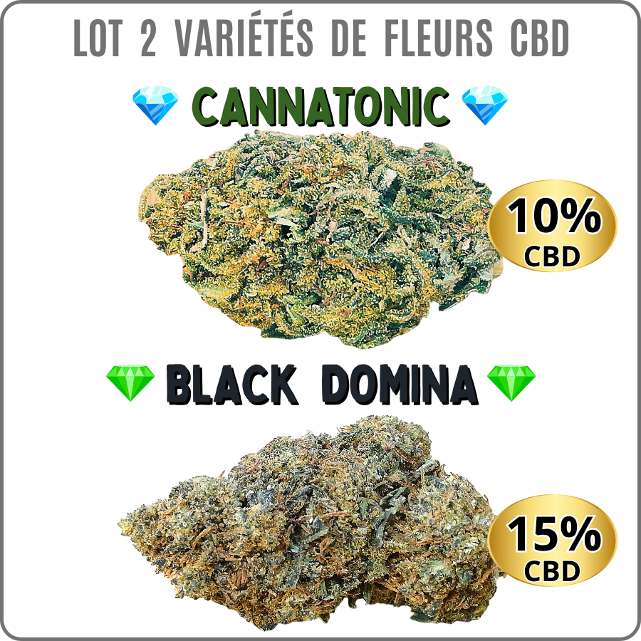 lot fleurs CBD - lot CBD pas cher - cannatonic CBD - black domina CBD