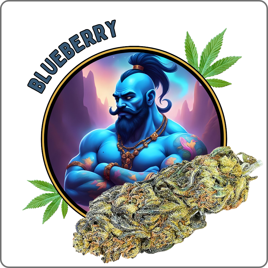 blueberry CBD prix effet avis
