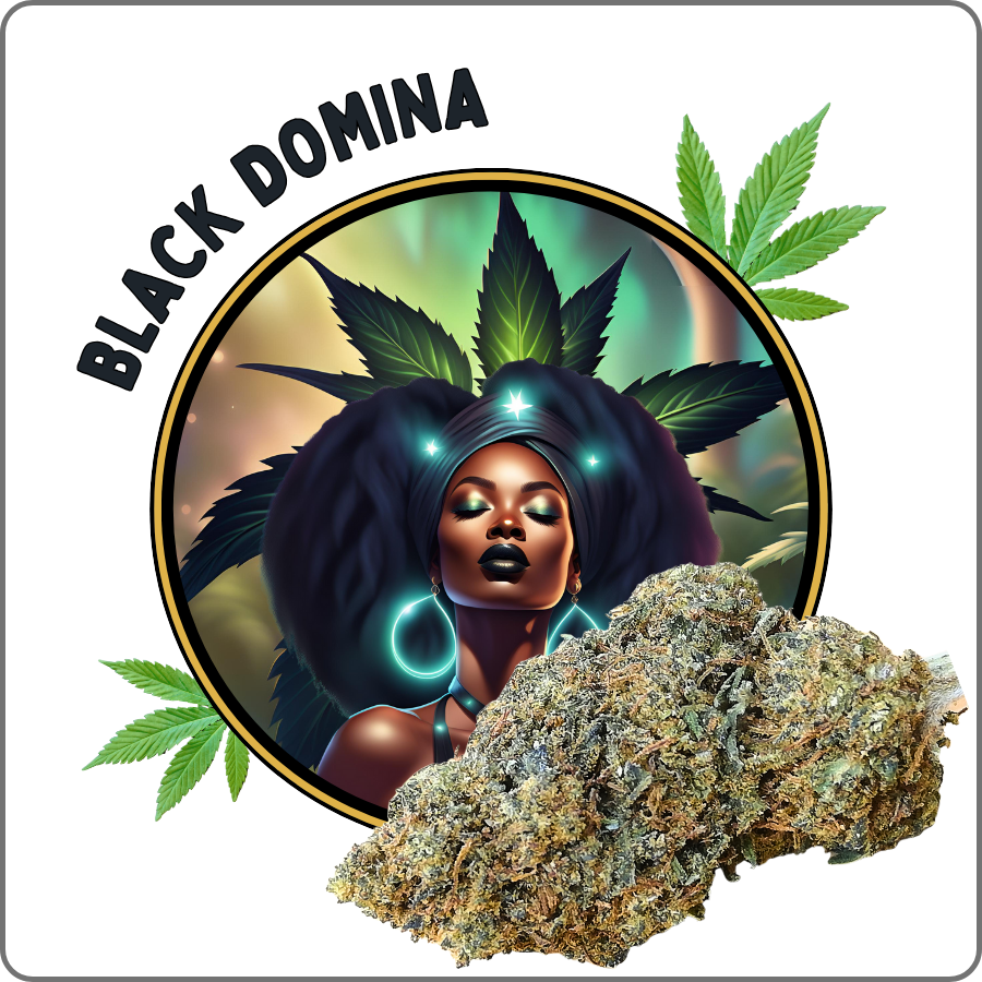 black domina CBD prix effet avis