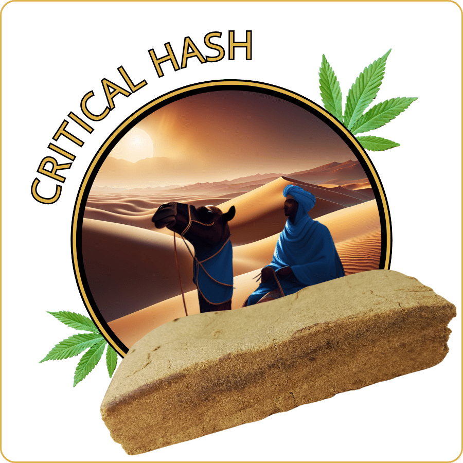 critical hash resine cbd pas cher