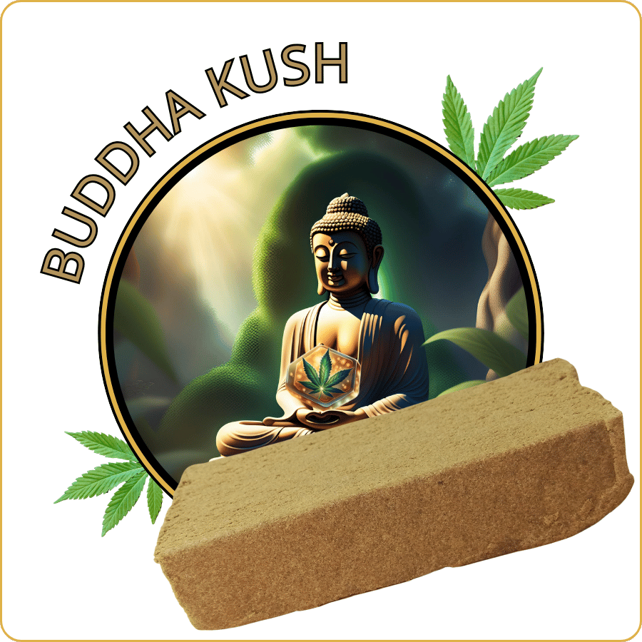 buddha kush resine cbd pas cher