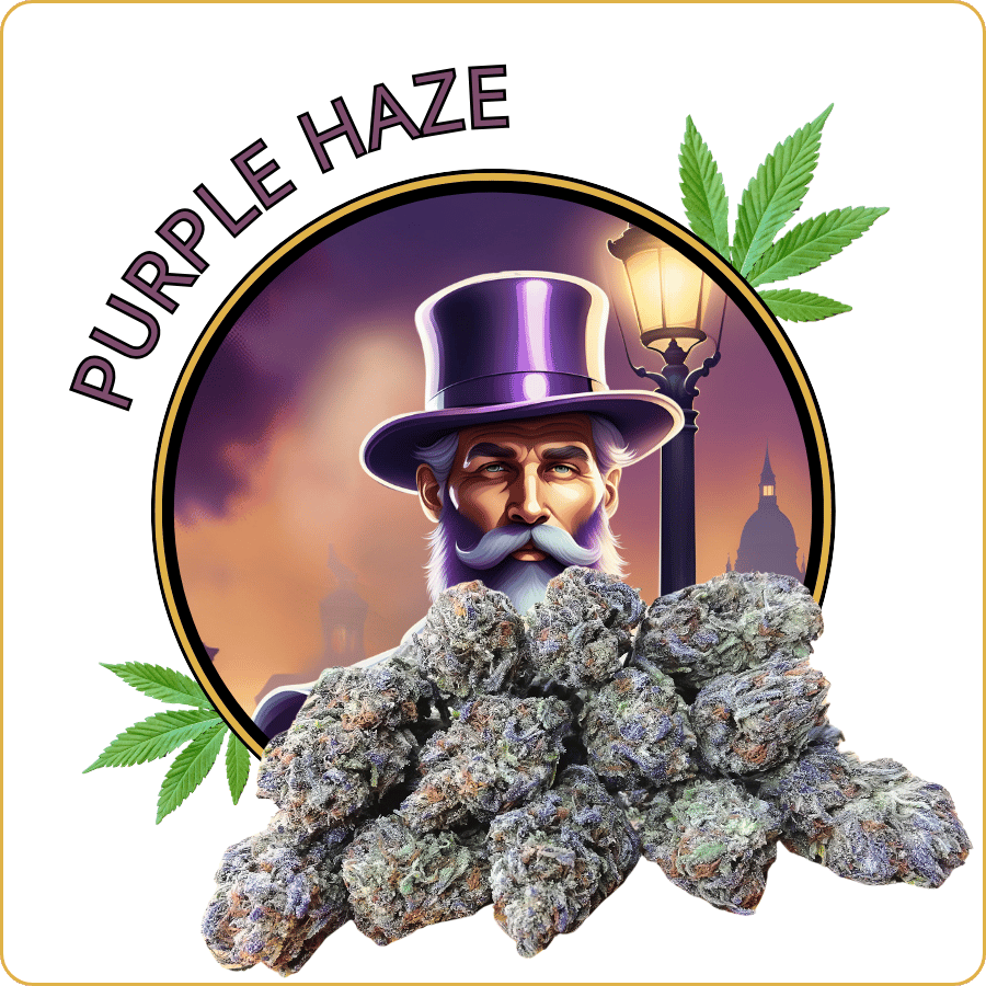 small buds cbd purple haze