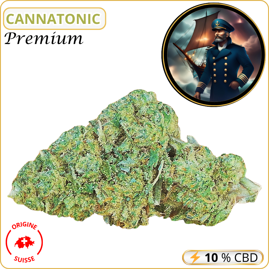 cannatonic fleur cbd pas cher