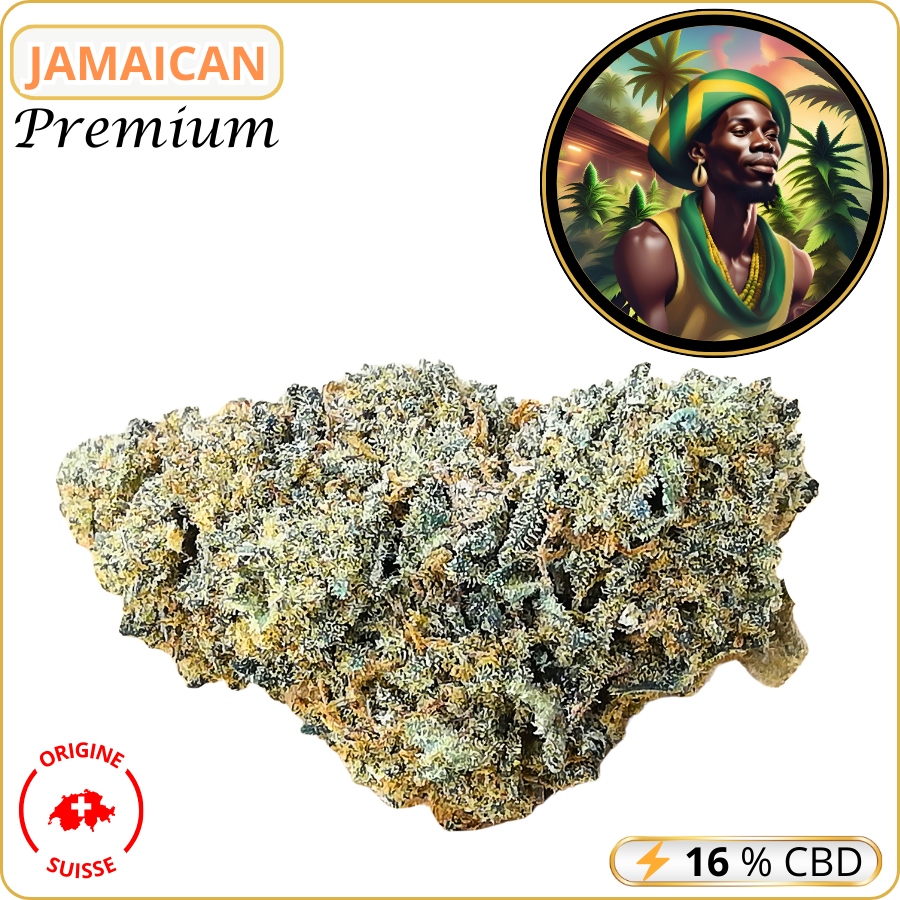 jamaican fleur cbd pas cher