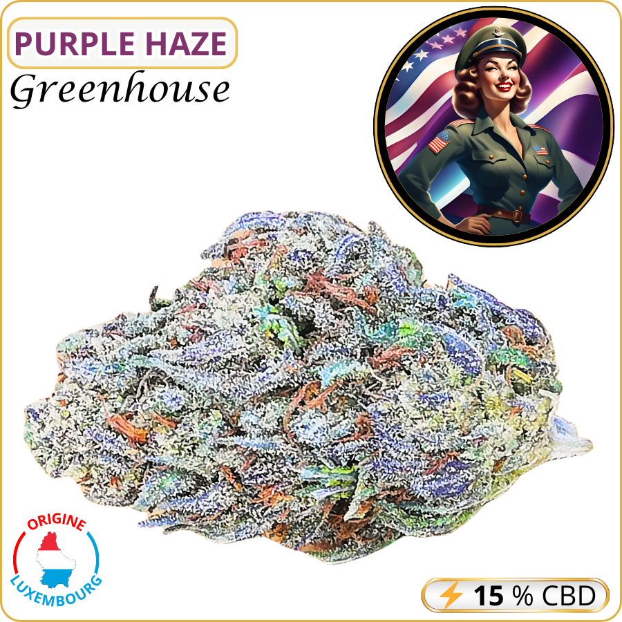 purple haze fleur cbd pas cher