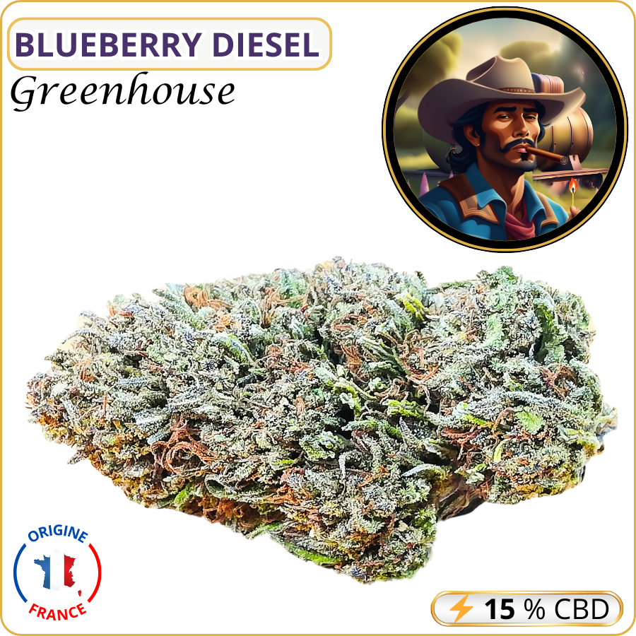 blueberry diesel fleur cbd pas cher