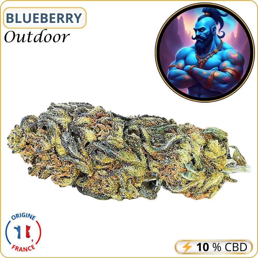 blueberry fleur cbd pas cher