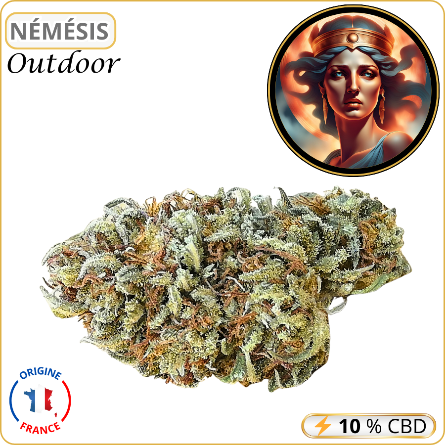 némésis fleur cbd pas cher
