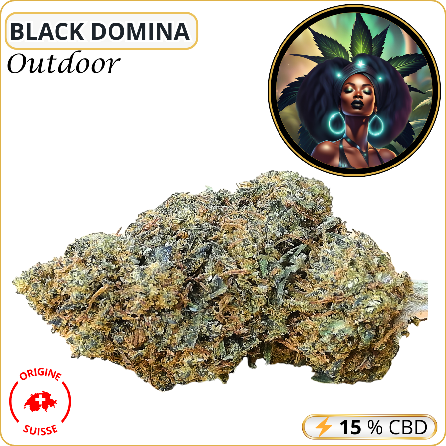 black domina fleur cbd pas cher