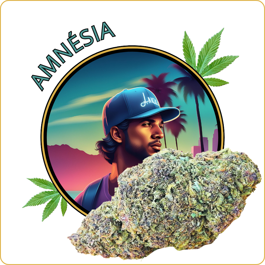 amnesia fleur cbd pas cher