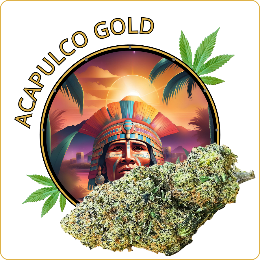 acapulco gold fleur cbd pas cher
