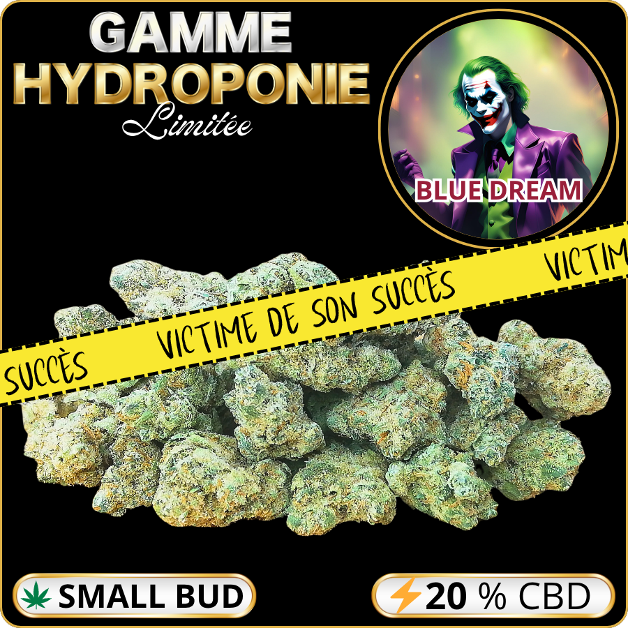 small buds cbd pas cher blue dream