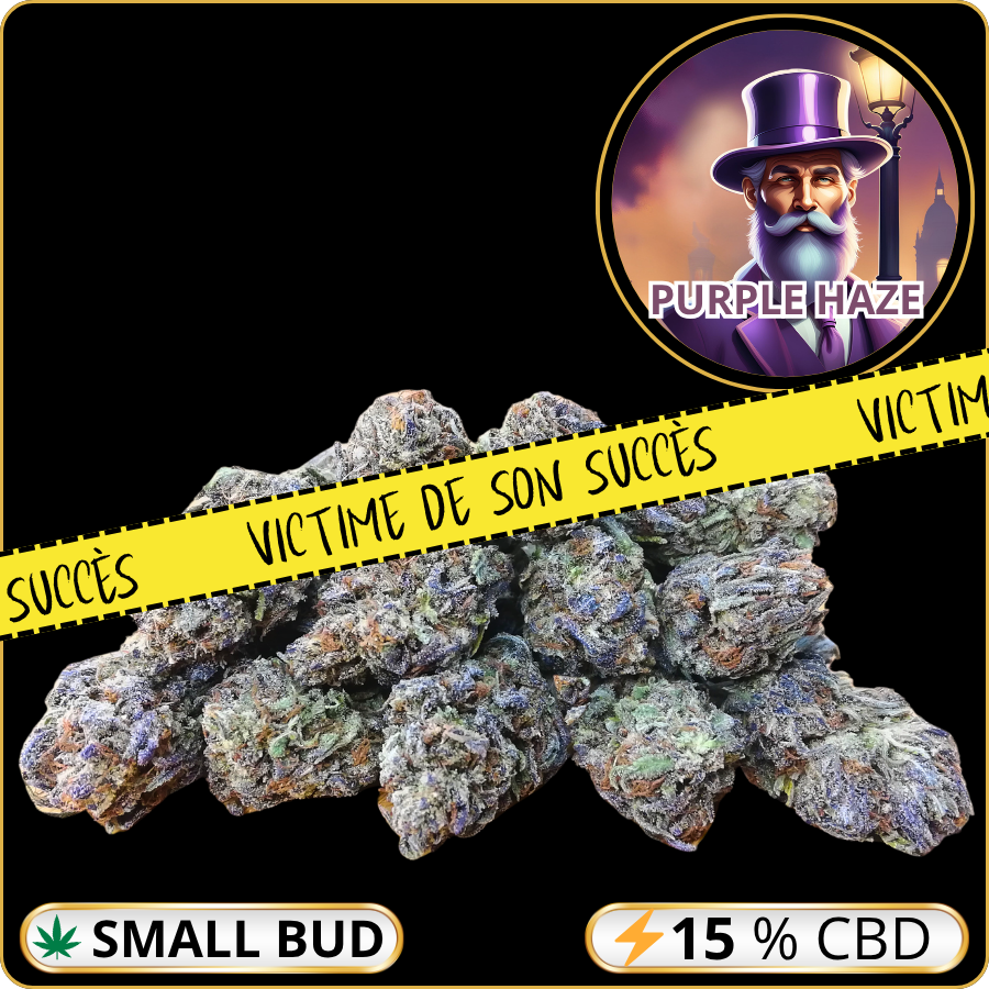 small buds cbd pas cher purple haze