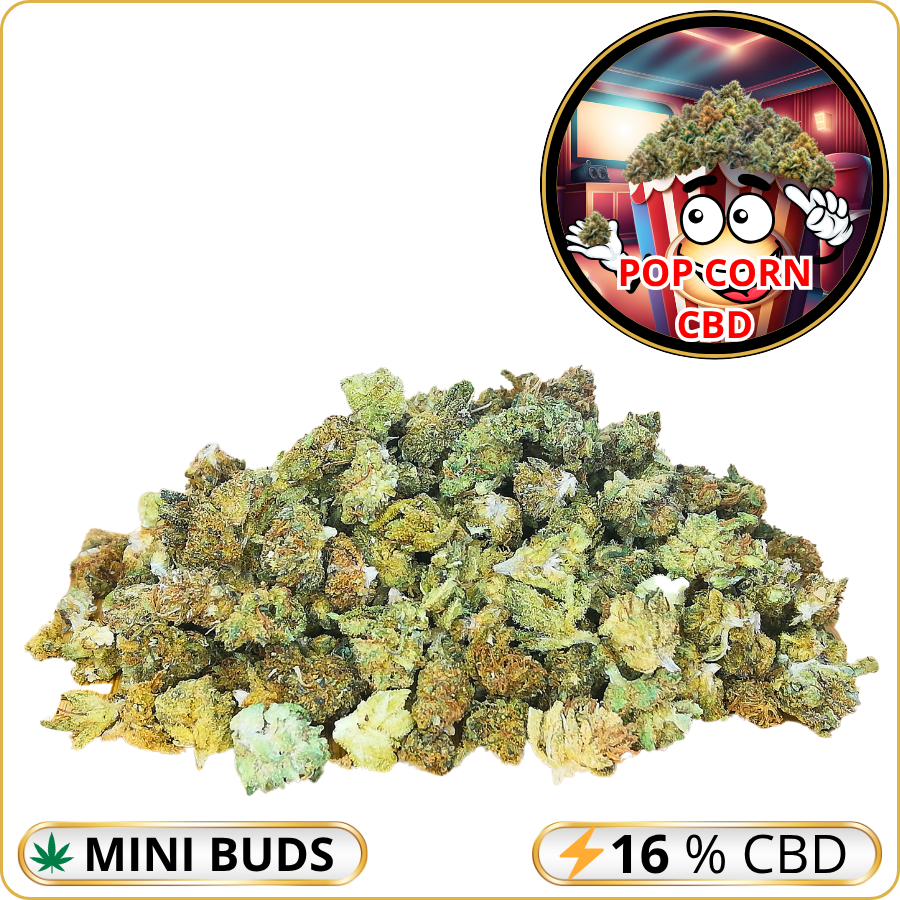mini buds cbd pas cher