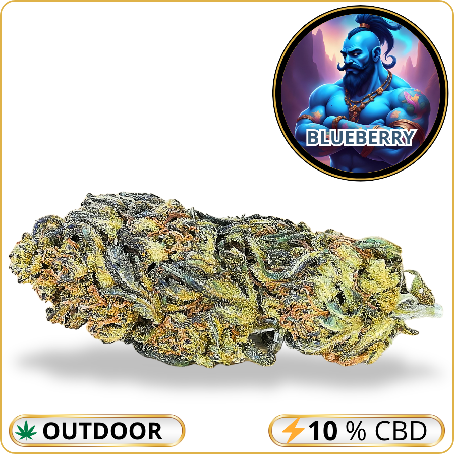 blueberry fleur cbd pas cher