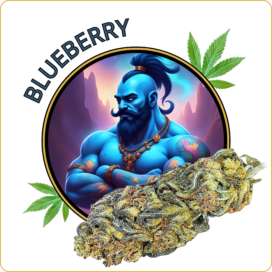blueberry cbd pas cher