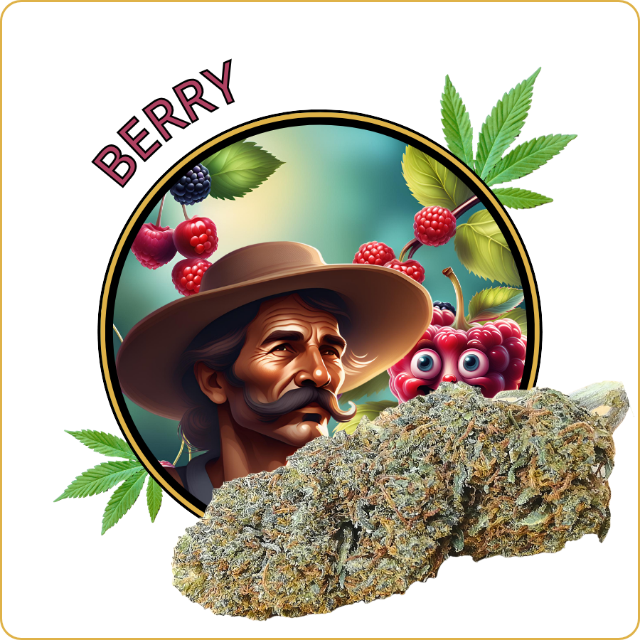 berry cbd pas cher