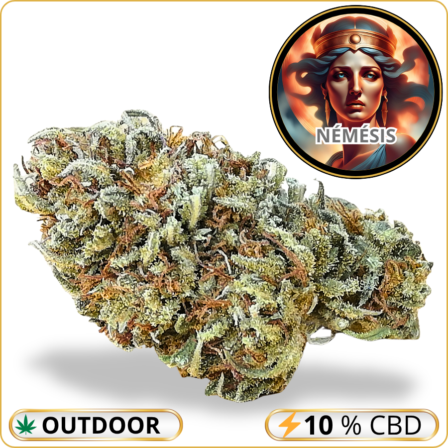 némésis cbd pas cher