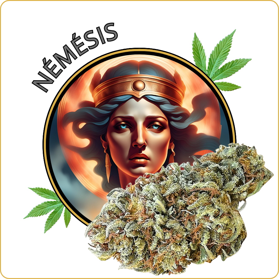 némésis fleur cbd pas cher