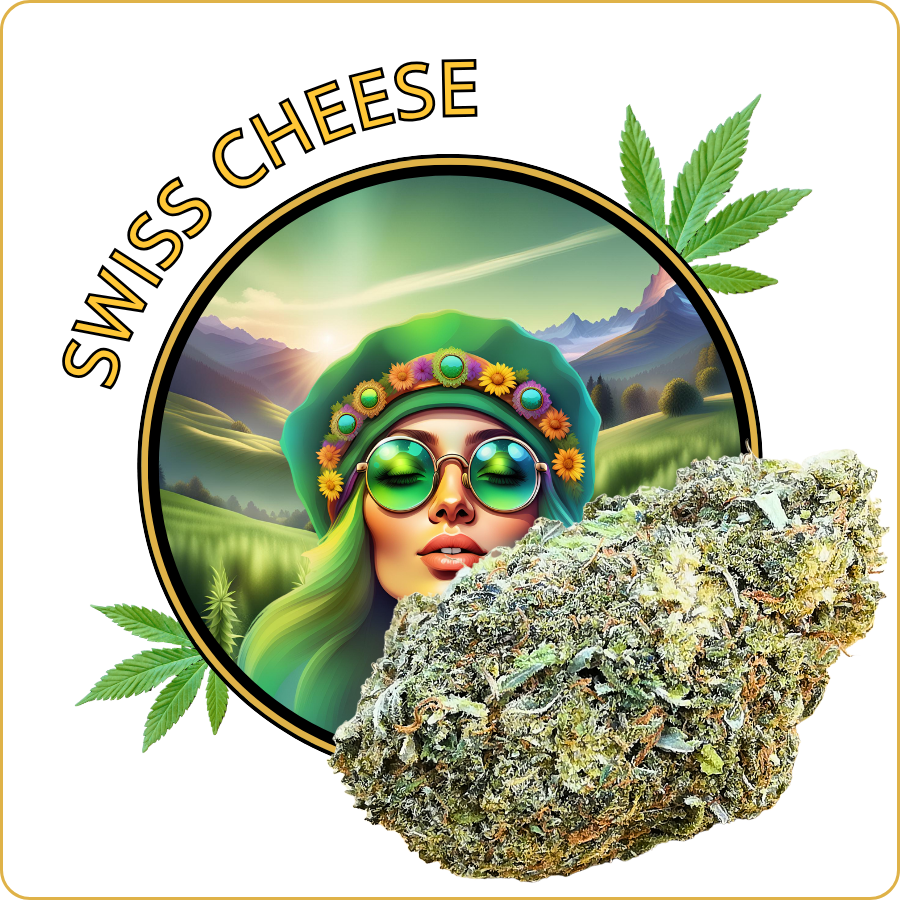 swiss cheese fleur cbd pas cher