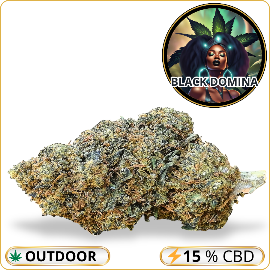 black domina fleur cbd puissante pas cher