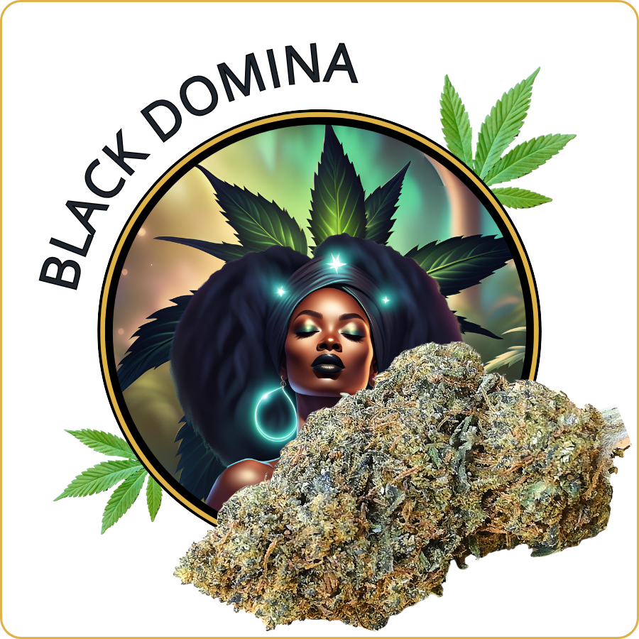 black domina cbd pas cher
