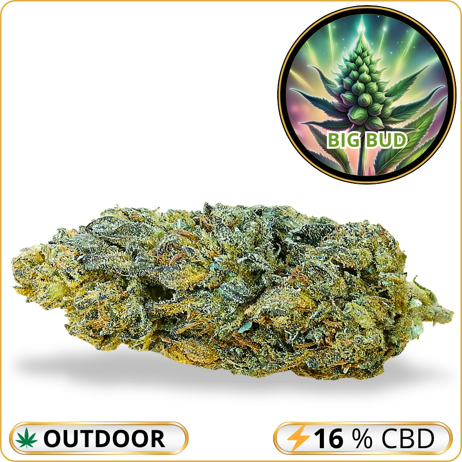 big bud fleur cbd puissante pas cher