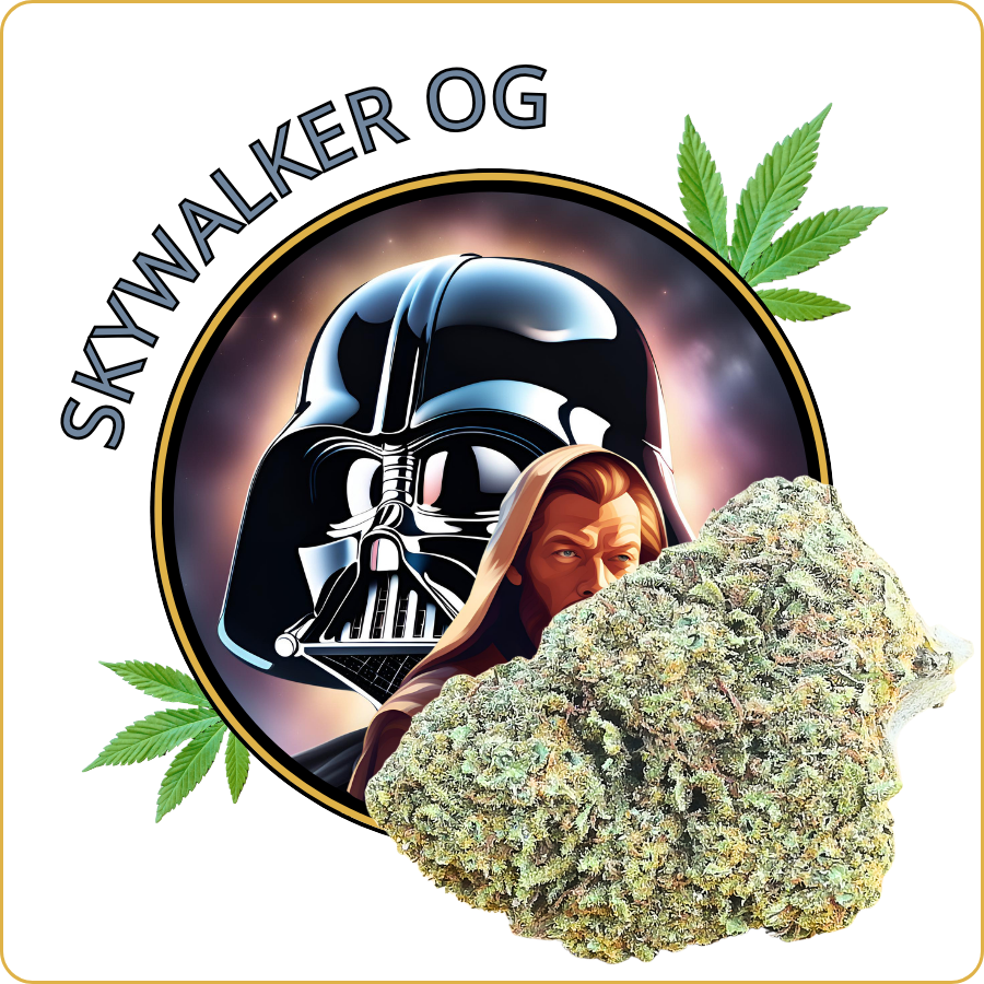 skywalker og cbd pas cher