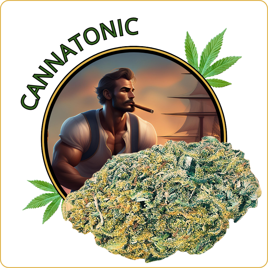 cannatonic cbd pas cher
