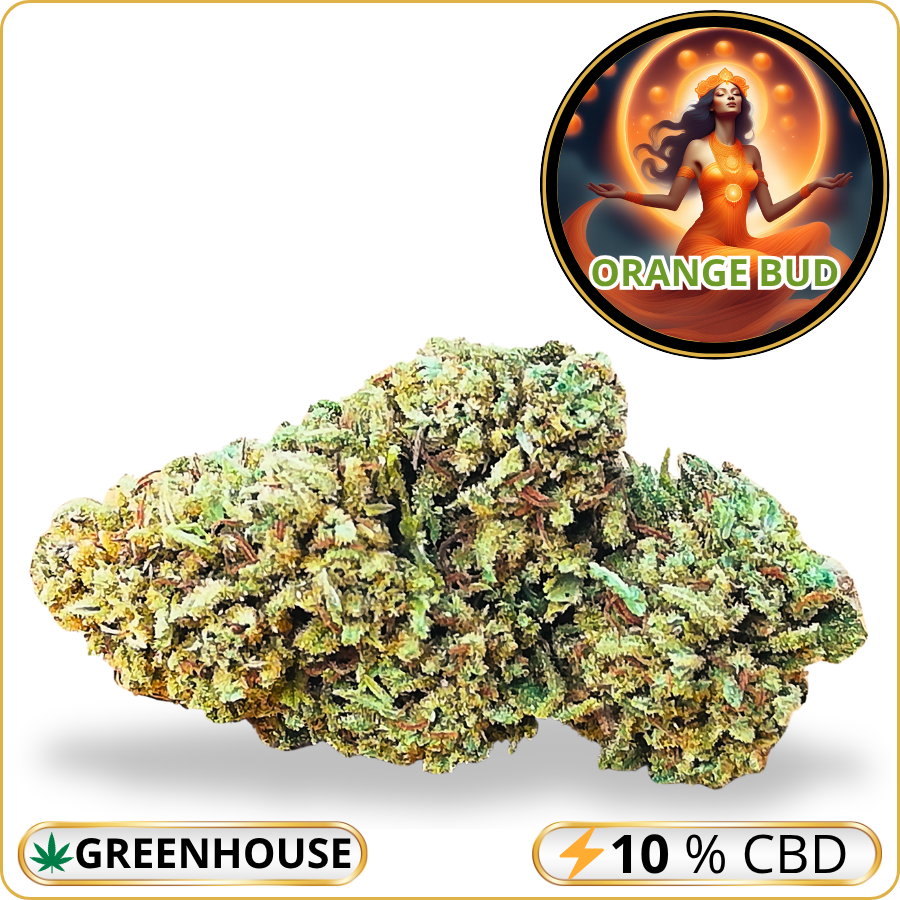 orange bud cbd