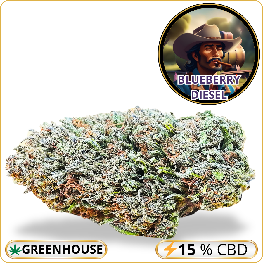 blueberry diesel cbd