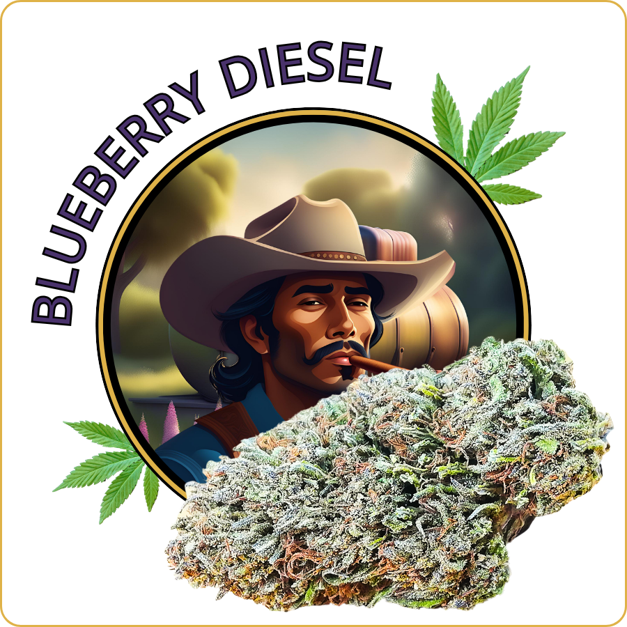 blueberry diesel cbd pas cher