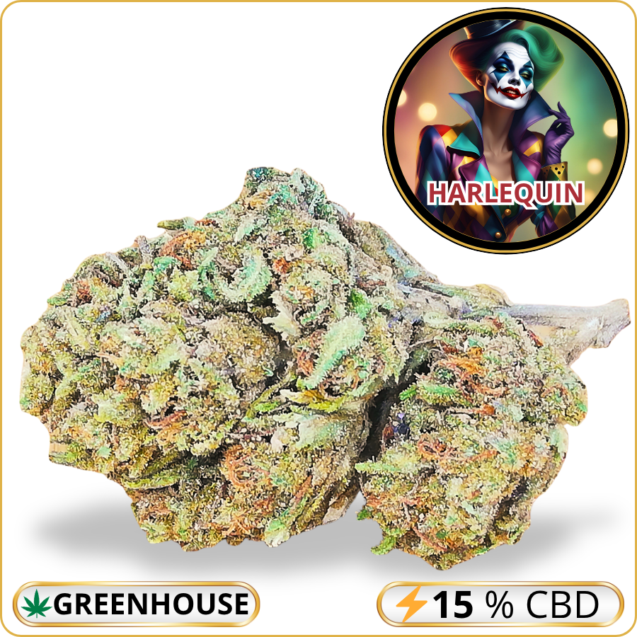 harlequin cbd