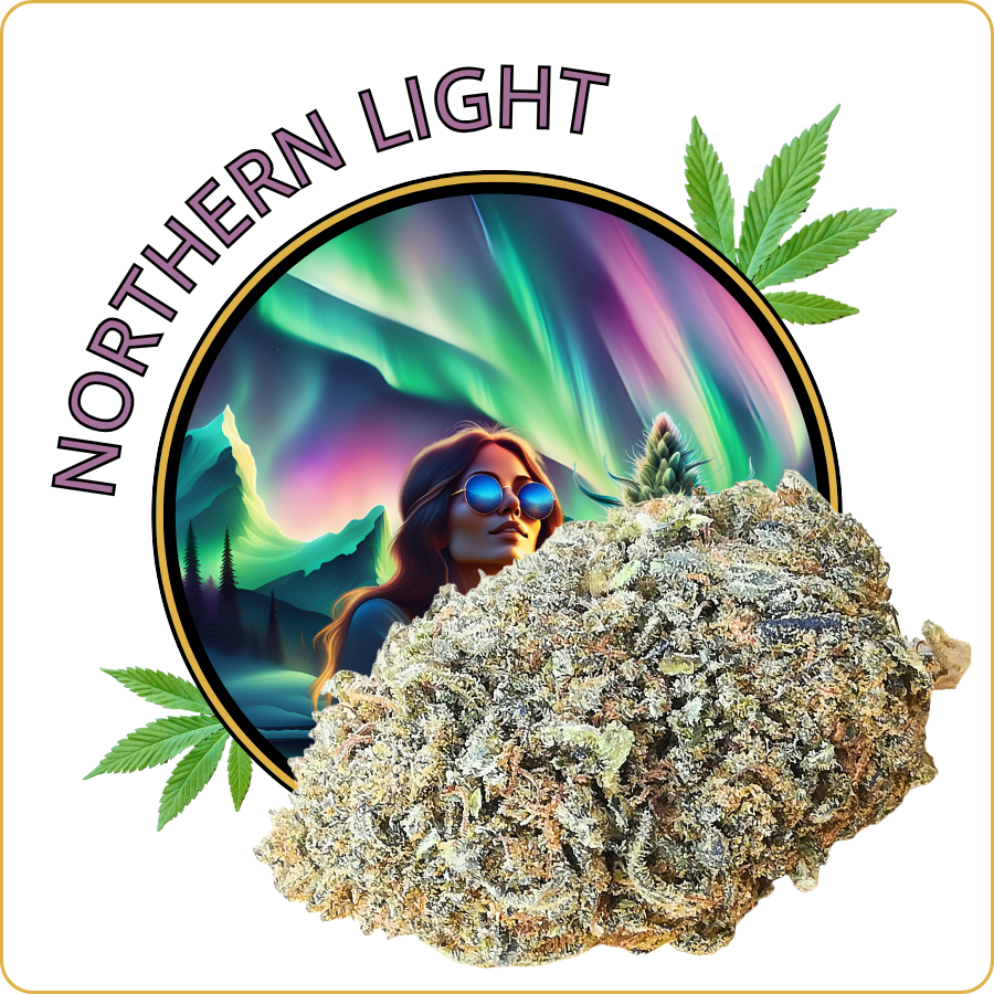 northern light cbd pas cher