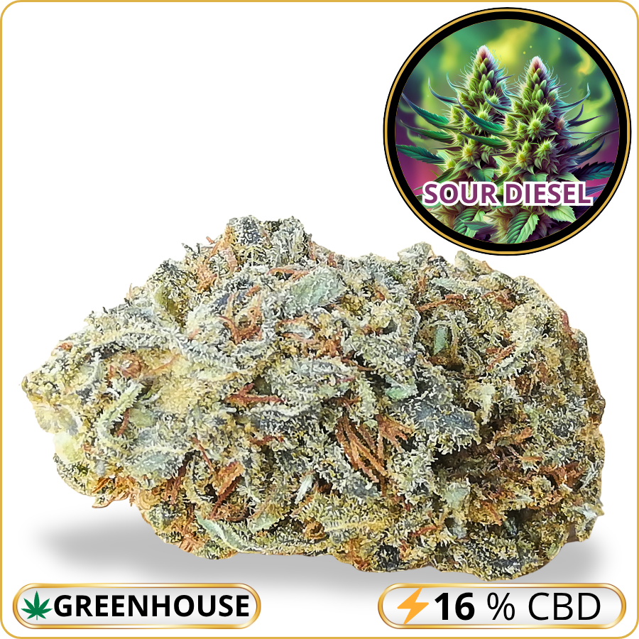 sour diesel cbd