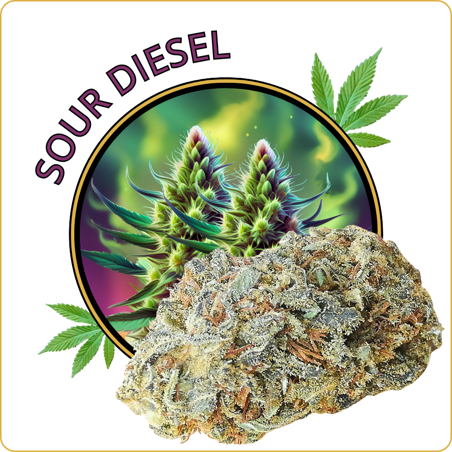 sour diesel cbd pas cher