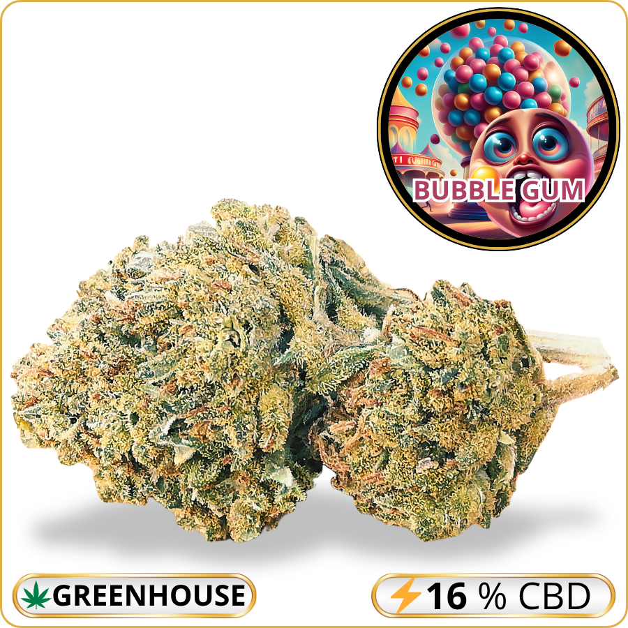 bubble gum cbd