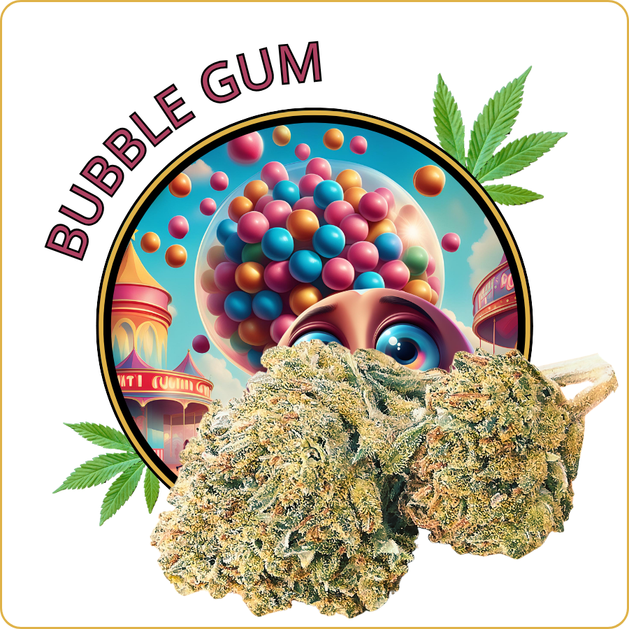 bubble gum cbd pas cher