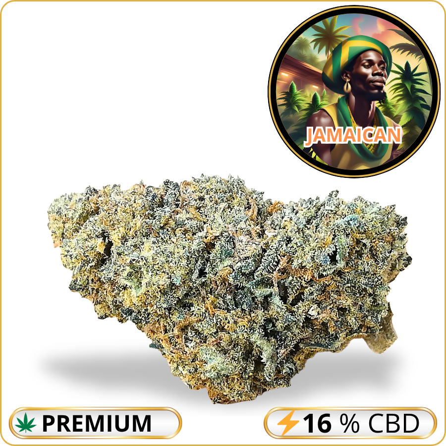jamaican cbd