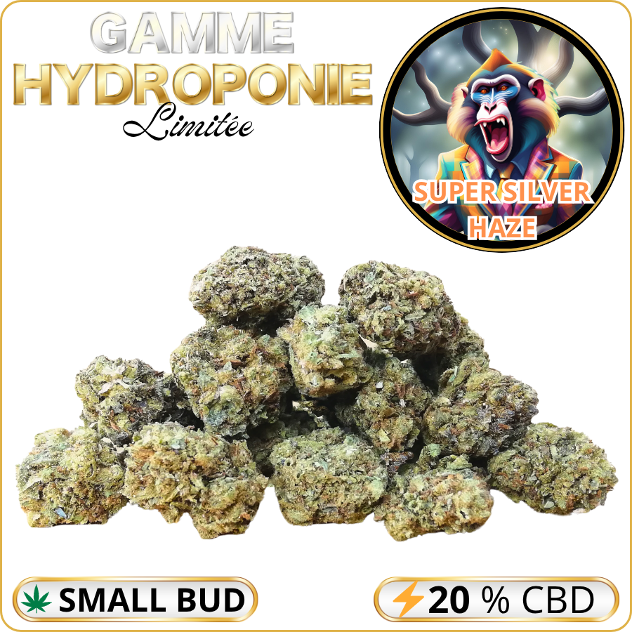 small buds cbd pas cher super silver haze
