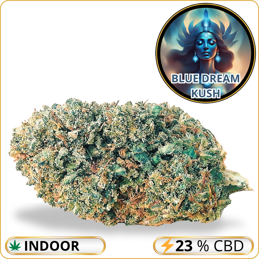 blue dream kush cbd