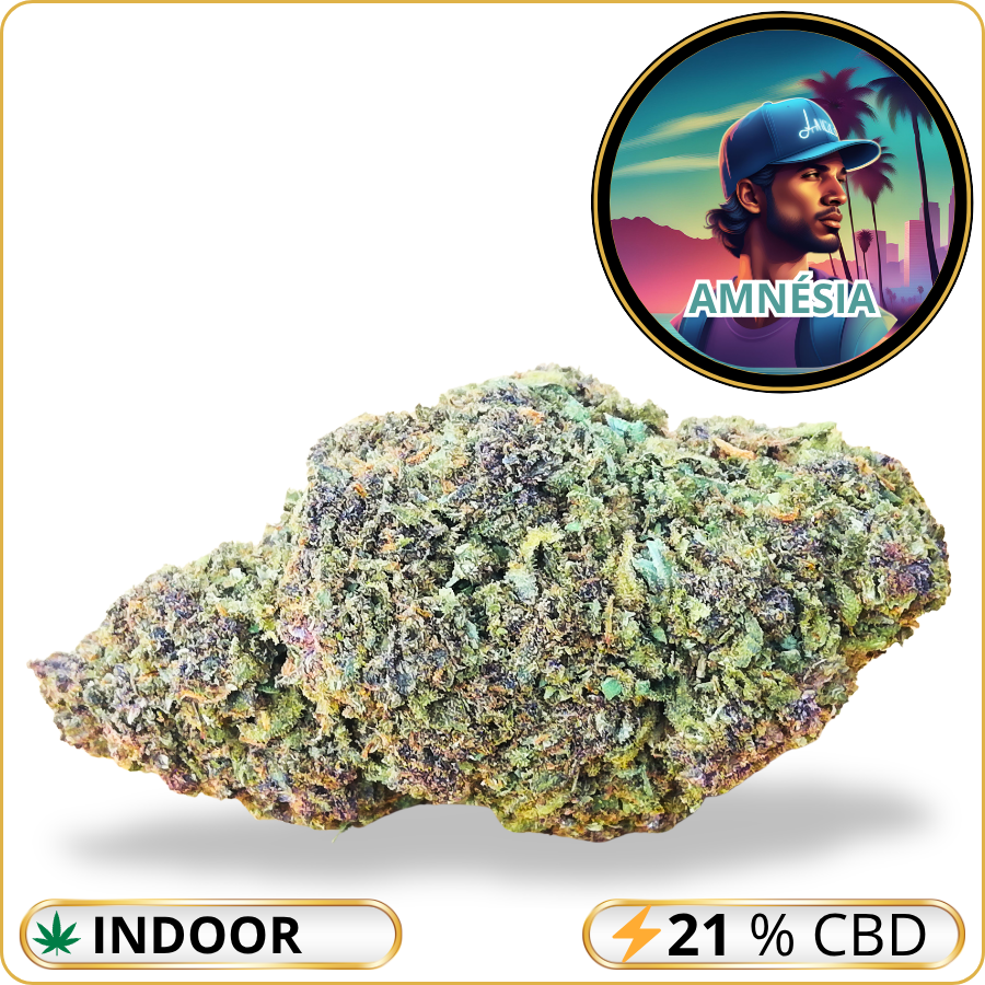 amnesia cbd