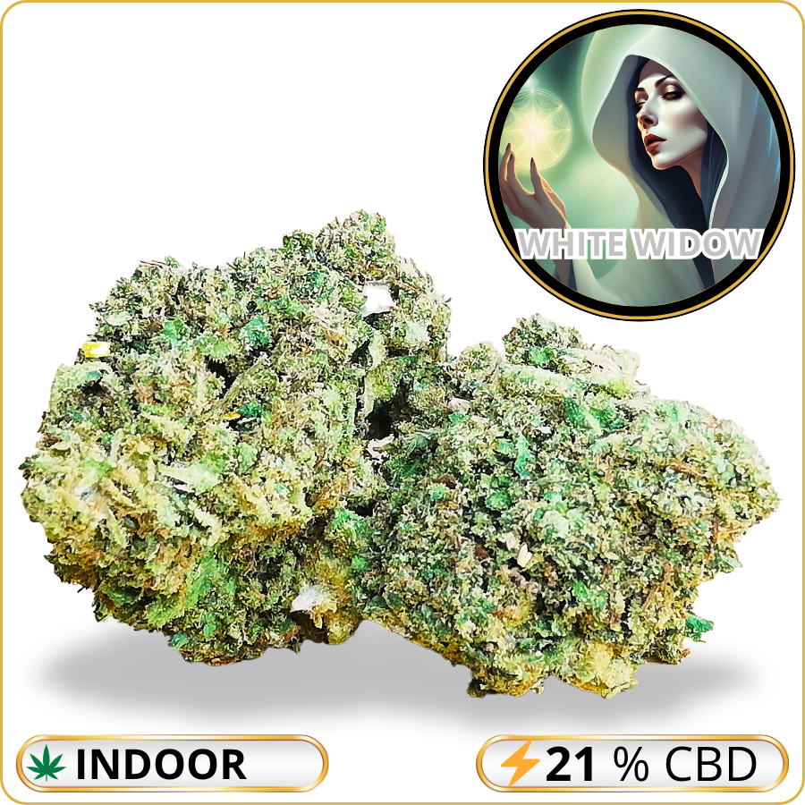 white widow cbd