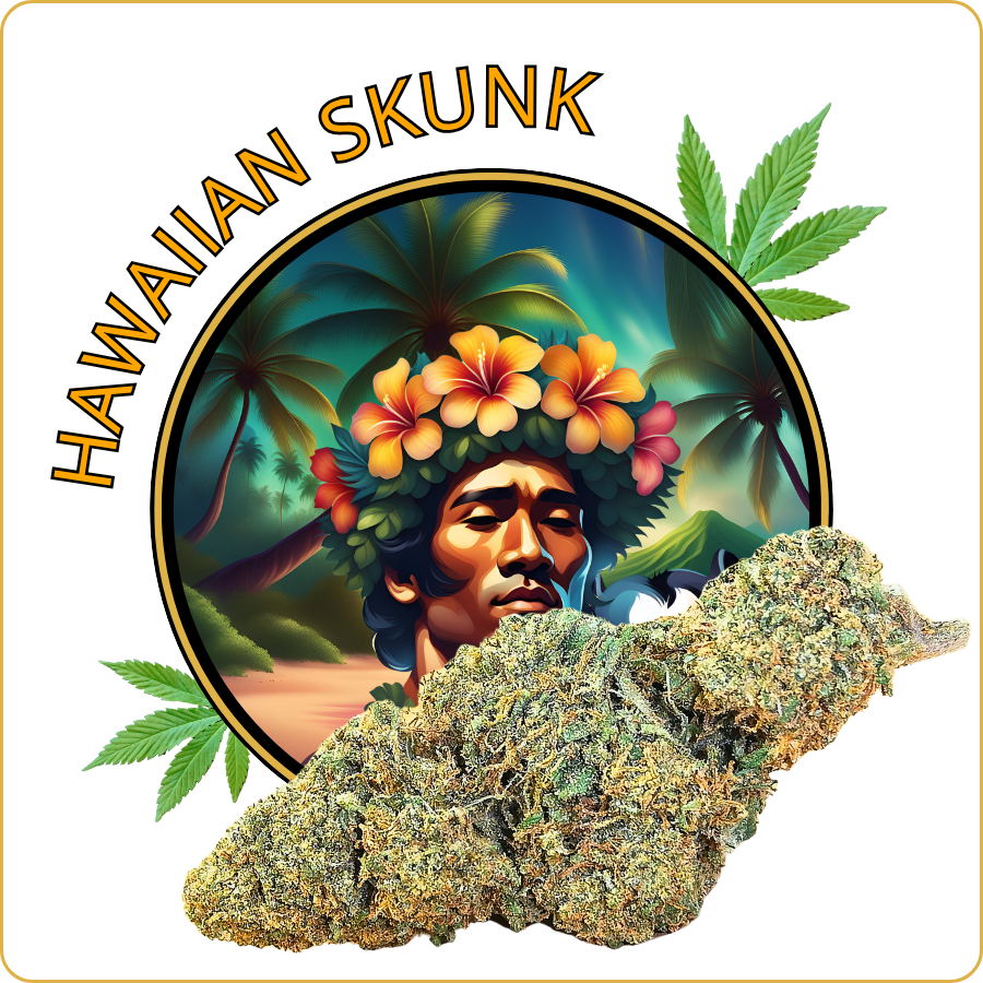hawaiian skunk fleur cbd pas cher