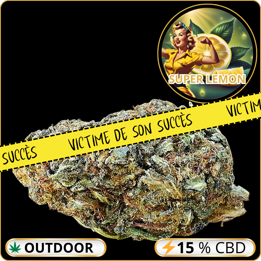 super lemon fleur cbd puissante pas cher
