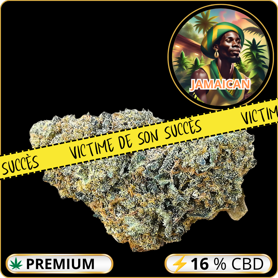 jamaican cbd