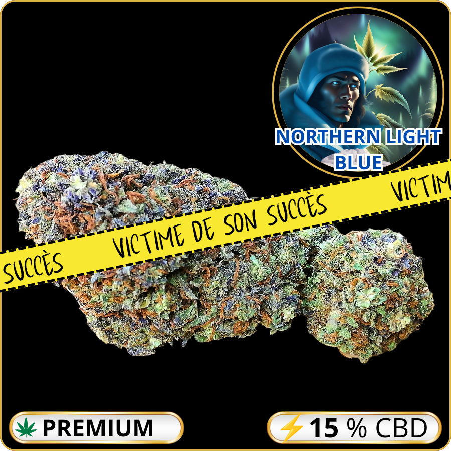 northern light blue cbd