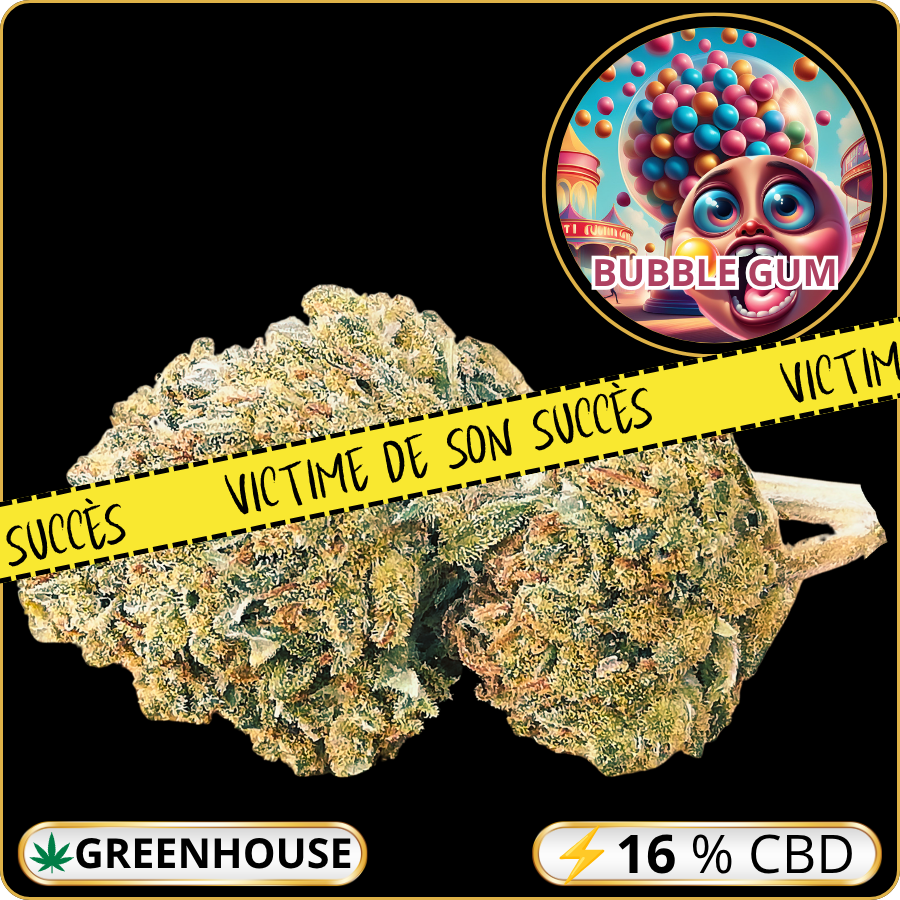 bubble gum cbd